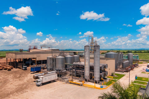 Ron Barceló Destillerie in der Dominikanischen Republik – ausgezeichnet als Superbrand – Rumzentrum.at