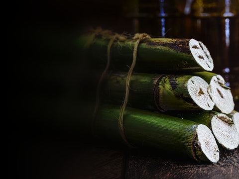 Geschnittenes Zuckerrohr – Rumherstellung – rumzentrum.at